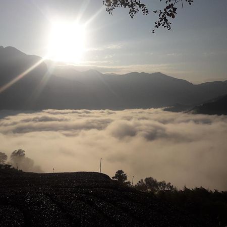 Meishan Alishan Shanyunhua B&B Homestay מראה חיצוני תמונה